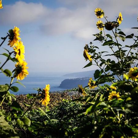 Finca Maranuela La Perdoma 외부 사진
