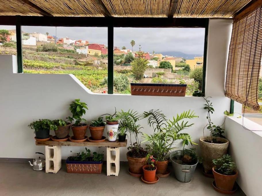 Finca Maranuela La Perdoma 외부 사진