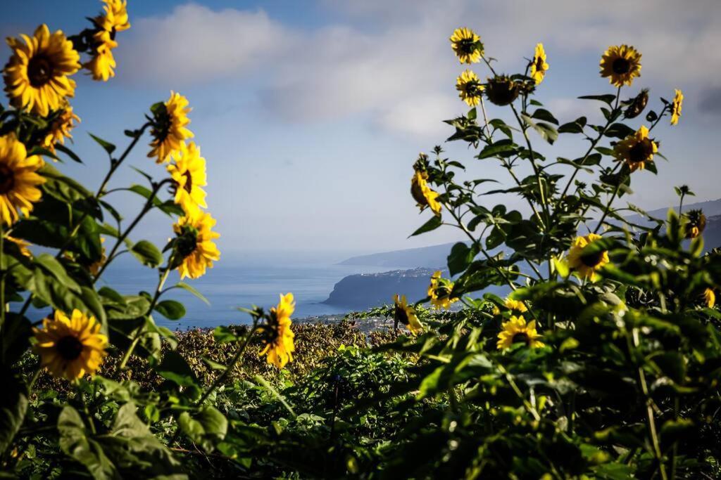 Finca Maranuela La Perdoma 외부 사진